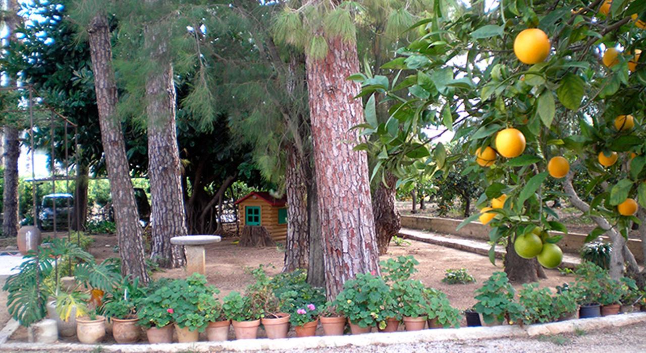 El Sequer Casa Rural Oliva Esterno foto